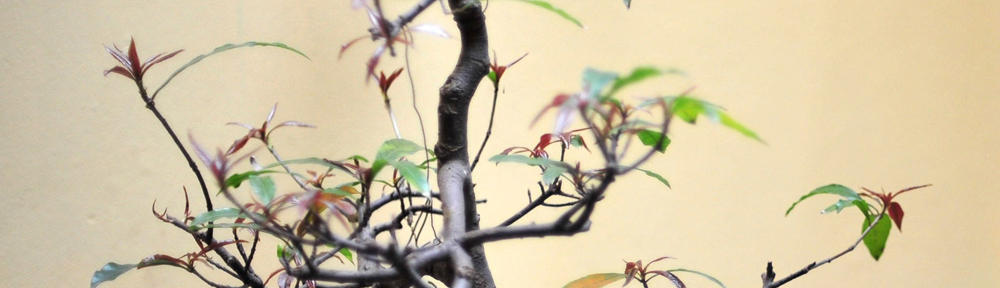 So many movies, so little time…